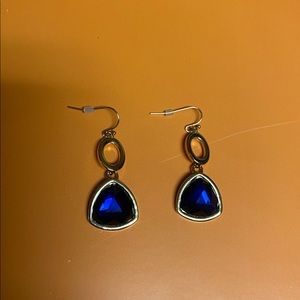 Beautiful Blue Earrings